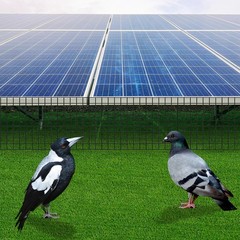 100ft Iron Mesh Rodent Barrier Solar Panel Bird Guard For Roof/garden/farmhouse