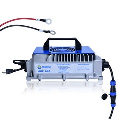 DC HOUSE 48V 18A LiFePO4 Lithium Battery Charger for Golf carts Quick Charge