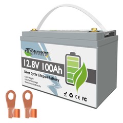12V 100Ah LiFePO4 Lithium Battery Built-in 100A BMS for Solar Marine Trolling
