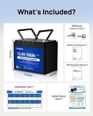 DC HOUSE 12V 100AH Lithium LiFePO4 Battery + BlueTooth + Low Temp Protection