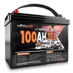 100Ah 12V Lithium Battery for Off Grid Solar Backup, Low Temp Cutoff BMS