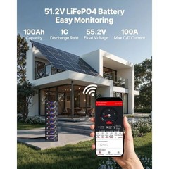 48V 100Ah and 51.2V Server Rack LiFePO4 Lithium Battery Built-in 100A BMS