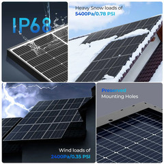 Renogy Bifacial Solar Panels 640 Watts 12V/24V Monocrystalline 2PCS 320W