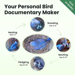 Outdoor Bird House w/ Camera & Solar 1080P Night Vision AI Bird ID