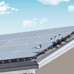Durable 8in x 100ft Solar Panel Critter Guard – Easy Installation & 70 Fasteners