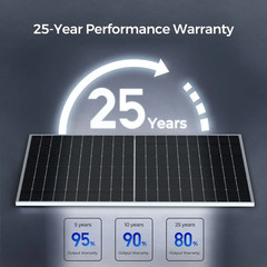 Renogy Bifacial Solar Panels 640 Watts 12V/24V Monocrystalline 2PCS 320W