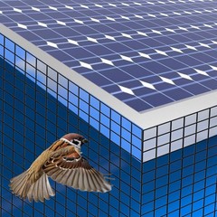 100ft Solar Panel Wire Mesh Roll & clip kit – Pigeon Bird Proofing Guard kit new