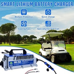 36V 25A Golf Cart Lithium LiFePO4 Battery Smart Charger Trolling Motor Used