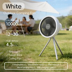 10000mAh 4000mAh Camping Fan Rechargeable Desktop Portable Circulator Wireless