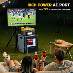 550W Power Station Compatible with Dewalt: LIVOWALNY Portable Generator