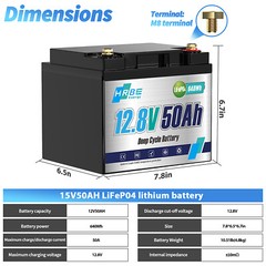 12V 24V 100Ah 200Ah 300Ah LiFePO4 Lithium Batterie BMS Bluetooth for Solar RV