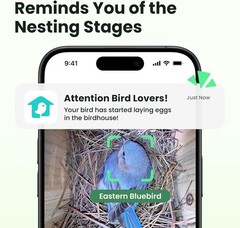 Outdoor Bird House w/ Camera & Solar 1080P Night Vision AI Bird ID