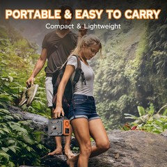 Portable Power Station 300W Solar Generator 280Wh(without Solar Panel), 110V …