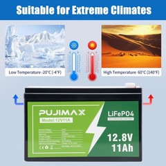 LiFePO4 Deep 3000+ Cycle Lithium Iron Phosphate Battery 12V 11Ah Fast Charging