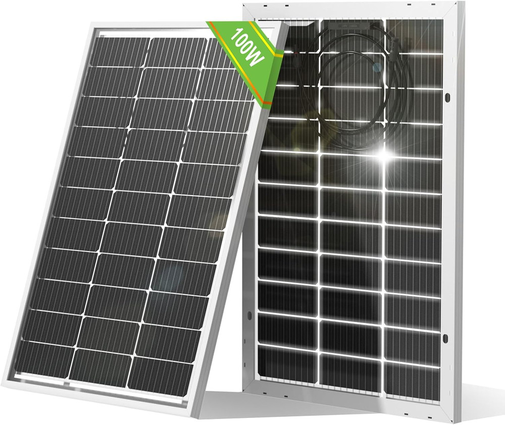 ECO-WORTHY Bifacial 100 Watt 12 Volt Solar Panel Monocrystalline Rigid High-Effi