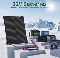 Paodekua 35W 12V Waterproof MPPT Solar Battery Charger & Maintainer