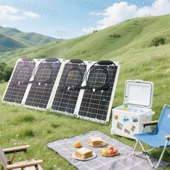 4 x 40W High-Efficiency PV Panels + 30A-100A Intelligent Controller for RV/HomE,