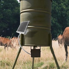 Cargador de panel solar para batería de alimentación de 12 V a prueba de agua US