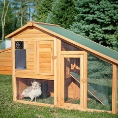 Professional 0.8W Solar Panel Fan Kit For Pet House Cooling