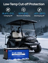 48V 100Ah Lithium Golf Cart Battery with 18A Charger Golf Cart, Trolling Motor