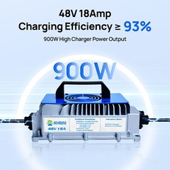 48V 50Ah LiFePO4 Lithium Battery Golf Cart Smart Monitor RV with 18A Charger RVs