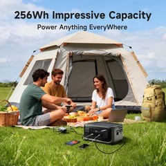 P300 Portable Power Station 300W 600W Peak 256Wh LiFePO4 Battery