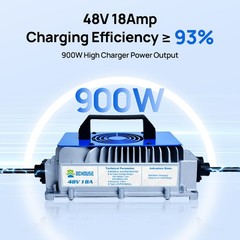 48V 100Ah Lithium Golf Cart Battery with 18A Charger Golf Cart, Trolling Motor