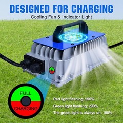 36V 25A Golf Cart Lithium LiFePO4 Battery Smart Charger Trolling Motor Used