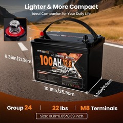 100Ah 12V Lithium Battery for Off Grid Solar Backup, Low Temp Cutoff BMS