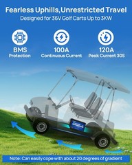 36V 50AH Lithium Golf Carts Lifepo4 Battery with 36V 25A Charger Bluetooth RVs