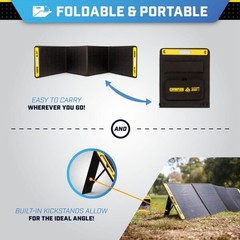 Champion Power Equipment 201247 Champion Power Station Solar Panel, 200W