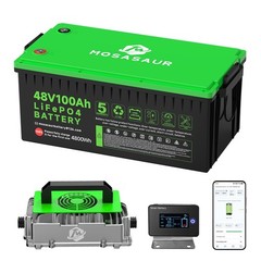 48V 100Ah LiFePO4 Golf Cart Battery and 18A Charger for Club Car RV Bluetooth