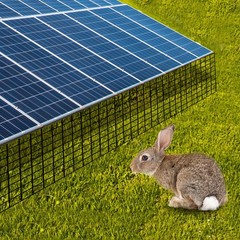 100ft Solar Panel Wire Mesh Roll & clip kit – Pigeon Bird Proofing Guard kit new