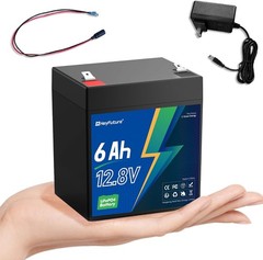 12V 6Ah LiFePO4 Lithium Battery with Charger BMS Deep Cycle UPS Alarm Security