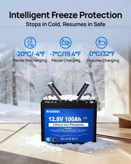 DC HOUSE 12V 100AH Lithium LiFePO4 Battery + BlueTooth + Low Temp Protection