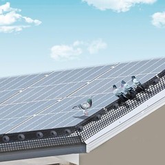 8” x 100′ Solar Panel Guard with Rust-proof PVC Coating 1/2 inch Wire Roll Mesh