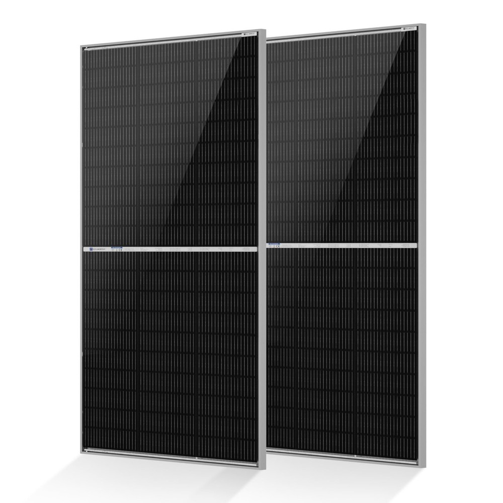ECO-WORTHY N-Type 18BB Bifacial Solar Panel 2x195W