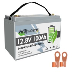 12V 100Ah LiFePO4 Lithium Battery Built-in 100A BMS for Solar Marine Trolling