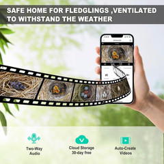 Solar Bird House with Camera, 1080P HD Wooden Smart Birdnest Solar Powered, W…