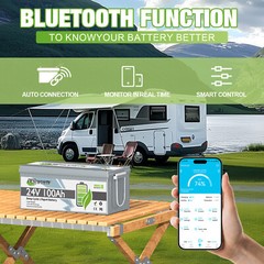 24V 100Ah LiFePO4 Lithium Battery BMS 2.56kWh for RV Off-grid Solar Marine Camp
