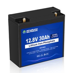 12V 30Ah LiFePO4 Lithium Battery BMS Deep Cycles Fish Finder Trolling Motor Boat
