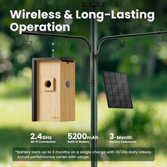 Birdfy Bird House with Camera Solar Powered with Iron Guard for Outside, AI Iden