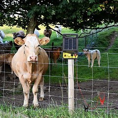 Electrical Equipment Clips Power Supplies Solar Fence for charger