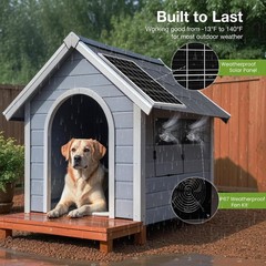 Dual High-Velocity Fans for Chicken Coop – Solar Powered & Waterproof Solution