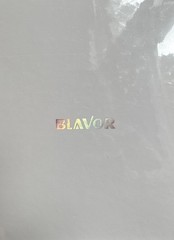 BLAVOR ~W09 Solar Charger Five Panels Detachable External Battery 20000mAh