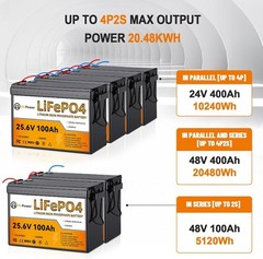 24V 100Ah LiFePO4 Lithium Battery for RV Marine Solar Panels System 100A BMS