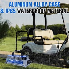 36V 25A Golf Cart Lithium LiFePO4 Battery Smart Charger Trolling Motor Used
