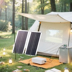 2 x 200W High-Efficiency PV Panels + 100A Intelligent Controller for Outdoor