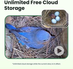 Outdoor Bird House w/ Camera & Solar 1080P Night Vision AI Bird ID