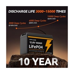 12V 100Ah LiFePO4 Battery Group 31 With Built-in 100A BMS (2 Pack), 1280Wh Li…